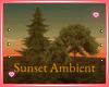 SunSet Ambient