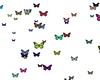 Colorful Butterfly Parti
