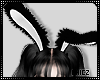 Cz🧬Fluffy Bunny Ears1