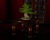 Bonsai Tree and Table
