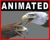 Animated Eagle