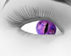 ~DR~ purple dragon eyes