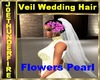 Veil Wedding Hair