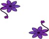 Purple Flower Frame 2 F