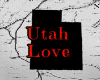 Utah Love Top