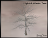Lighted Winter Tree