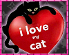 ! i love my cat <33