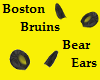 Bear Ears