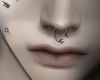 l Dimples+Septum