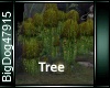 [BD]Tree
