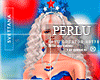 [P]4th July BUNDLE |F2