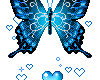 blue heart butterfly FL
