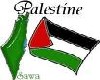 palestine flag3