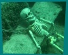 Chained Sea Skeleton 