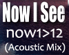 Now I See AcousticMix