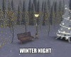 WINTER NIGHT 1
