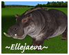 African Hippo Animated