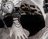 𝓐| Kitty Insane