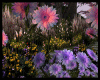 [RM] Flower patch