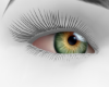 lELl Green Eyes