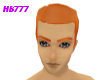 HB777 Brows ~M~ Ginger