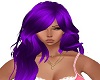 {Syn} Callie Purple