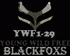 RAP -YOUNG WILD -YWF1-29