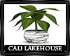 Cali Lakeside Plant 2