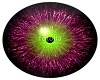 M-Purple/Green Eyes