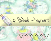 9 Weeks Pregnant (Y)