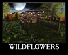 Wildflowers Bundle