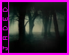 ~Jaded creepy forest