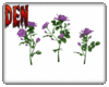 Background Purple Roses