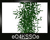 4K .:Dope Plant:.