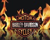 Harley Davidson Bar