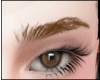 Eyebows brown
