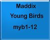 Maddix- Young Birds P1