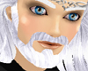 Silver Beard Groomed