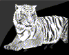 White tiger pet + SFX