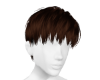 𝓢𝓔 Arjun Brown