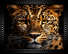 🐆 Leopard Background