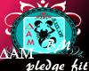 P| DAM pledge fit bm