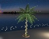 E* Wedding Palm Lights