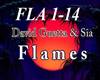 D. Guetta & Sia  Flames