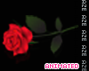 Red Rose Animated