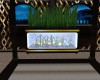 Black & Gold Aquarium