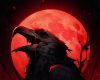 6v3| Crow Under Red Moon