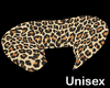 leopard collar Rhod - M