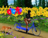 Sunflower Bike Ride