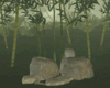 Bamboo With Stone